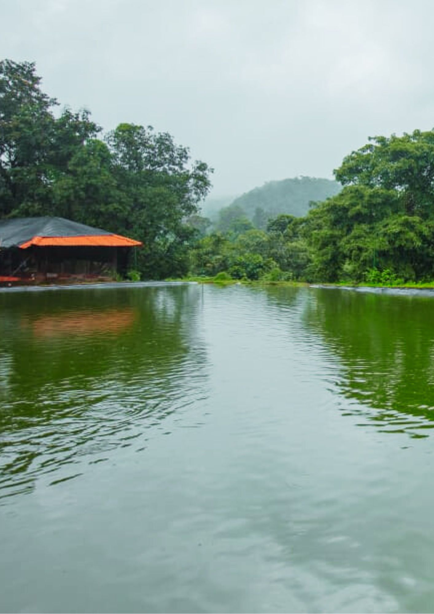 Pet-First Pet-Friendly Retreats In Maharashtra India