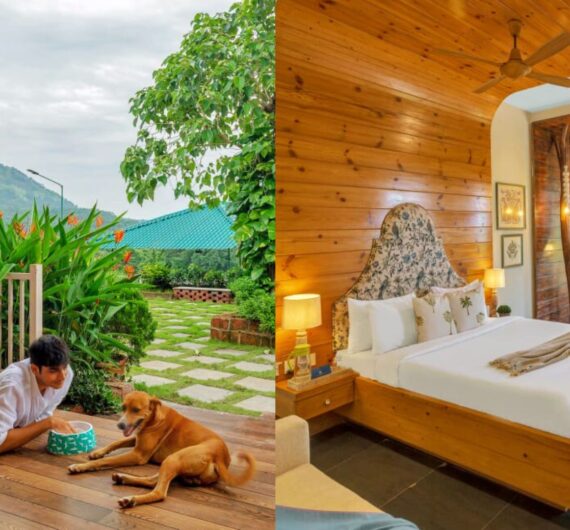 Junglebrooke By SaffronStays India's First Pet-First Retreat Maharashtra