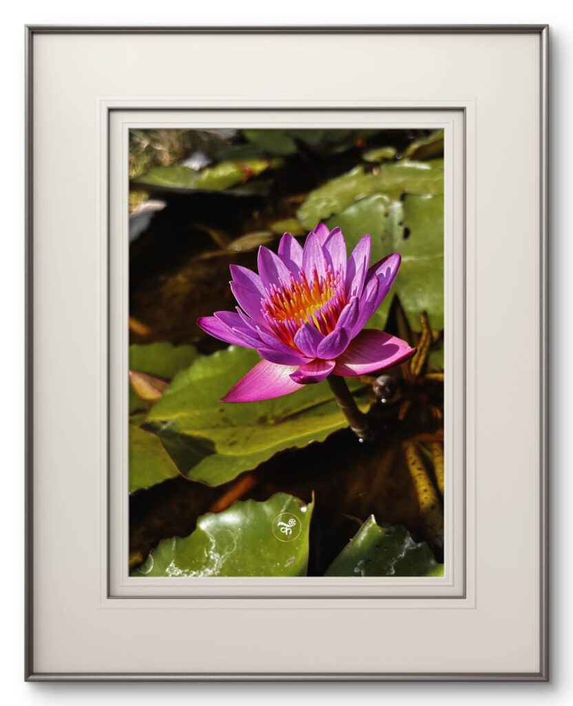 Presence Without Possession