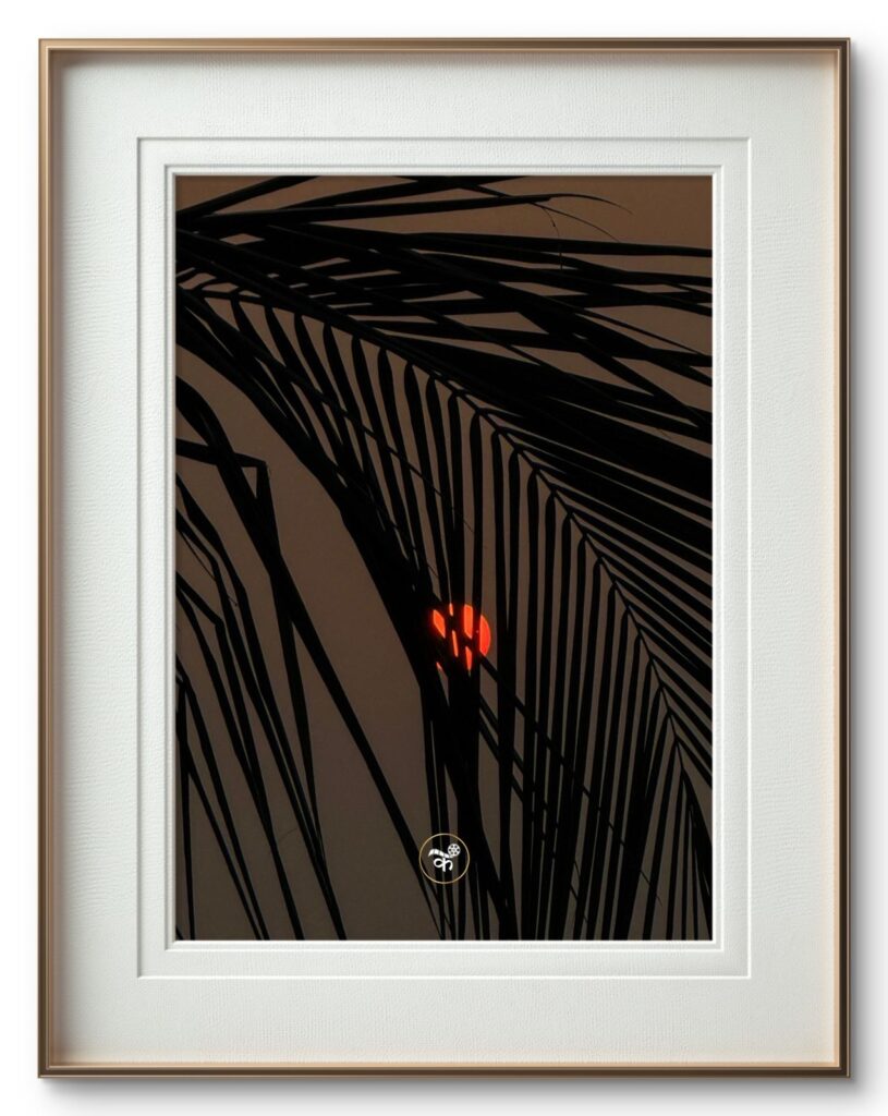 Held Between Glow & Grey