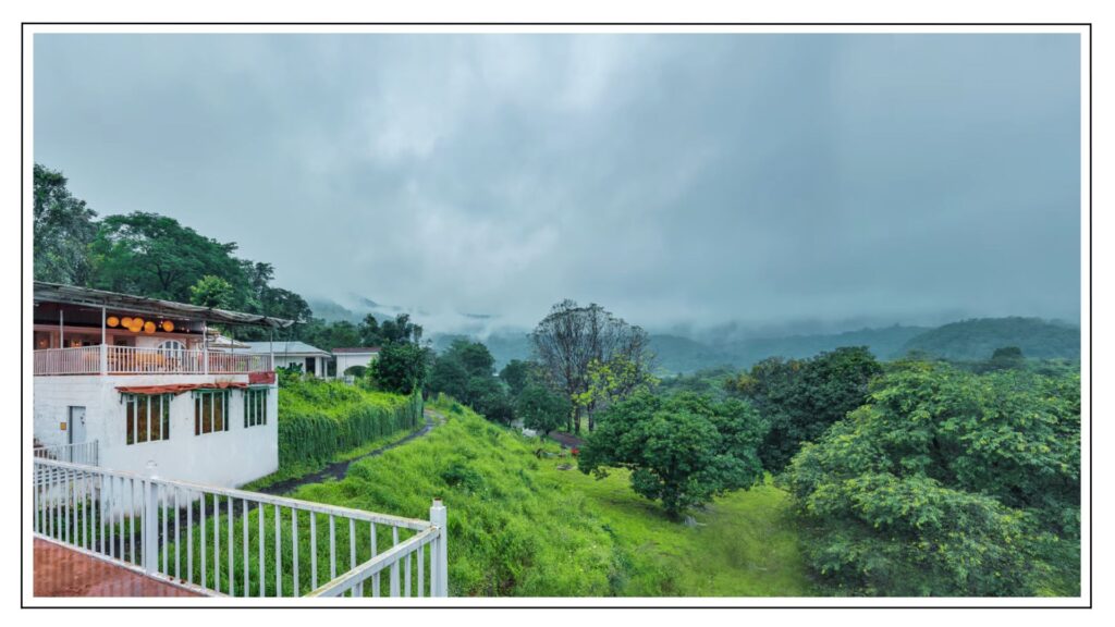 Things To Experience At India's Pet-First Resort In India