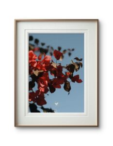 The Grace Of Defiance