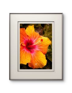 Where Softness Holds Its Ground