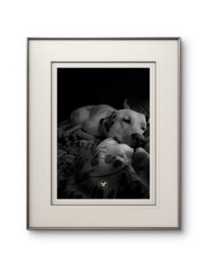 Resting In Certainty