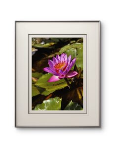 Presence Without Possession