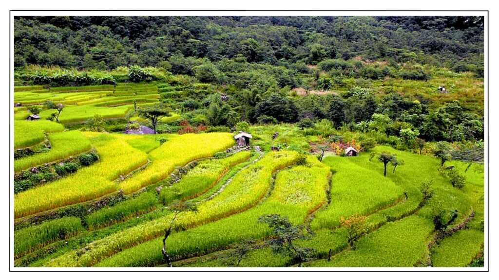 Best Tourism Villages